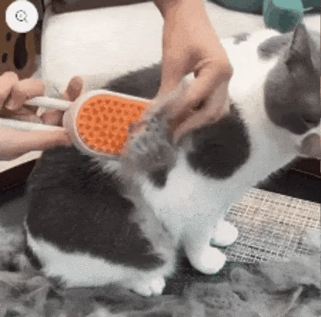 Cepillo para Mascotas con Vapor: Aseo Profundo y Relajación en Cada Pasada